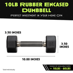 Octo Rubber Dumbbell Individual Strength Training Weight