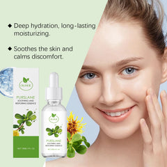 Purslane Soothing Repair Facial Hydrating Moisturizing Serum