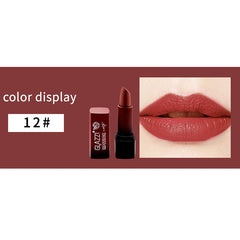 Portable Square Tube Matte Moisturizing Long Lasting Lipstick