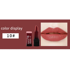 Portable Square Tube Matte Moisturizing Long Lasting Lipstick