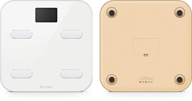 International Color Smart Weight Body Fat Scale