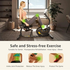 Recumbent Exercise Bike Magnetic Indoor Cycling Home Workout